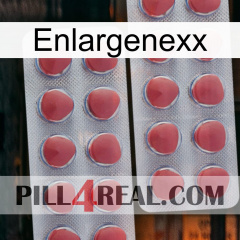 Enlargenexx 19